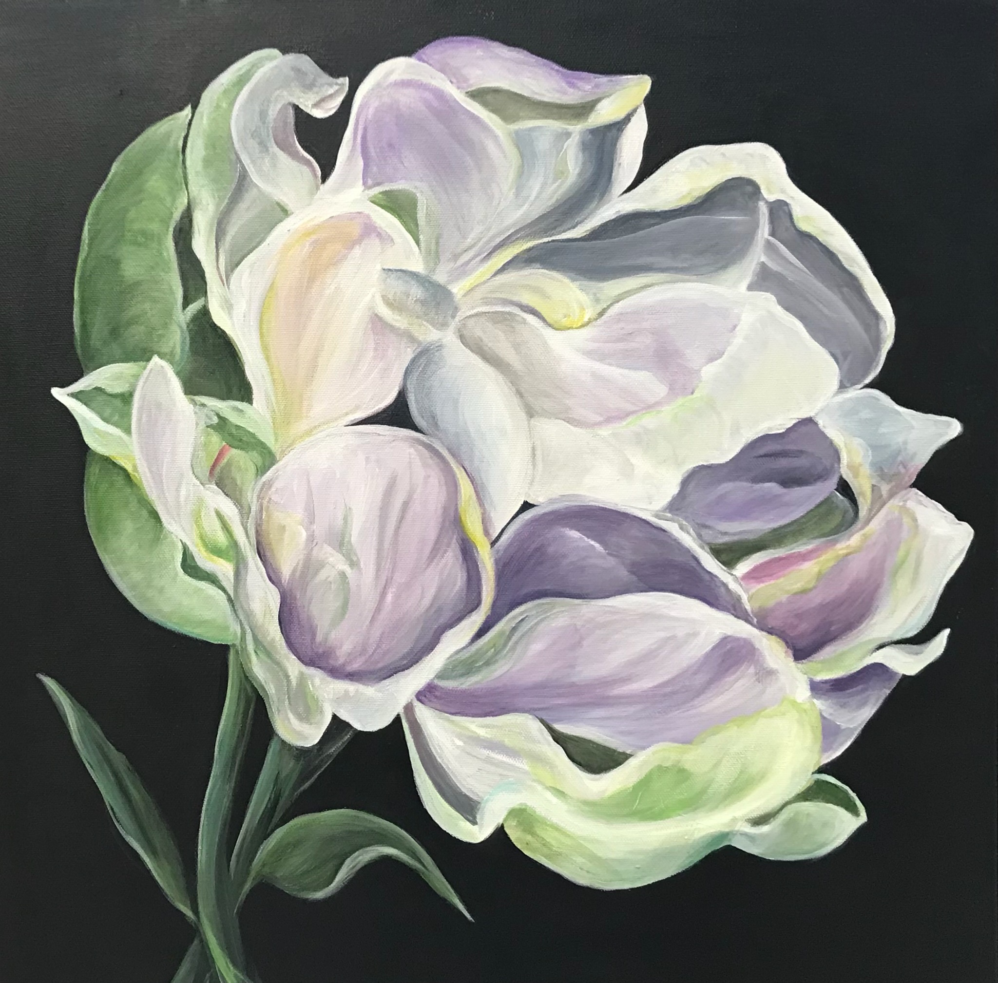 Original floral painting by Karen Simon — pale violet and white blooms emerging from a black background