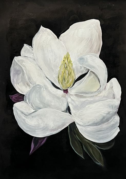 Painting of a single white magnolia in full bloom with a pale green center, against a black background.