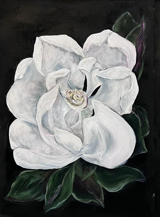 Painting of a full white magnolia with layered petals, a soft cream center, and dark green leaves below, against a black background.